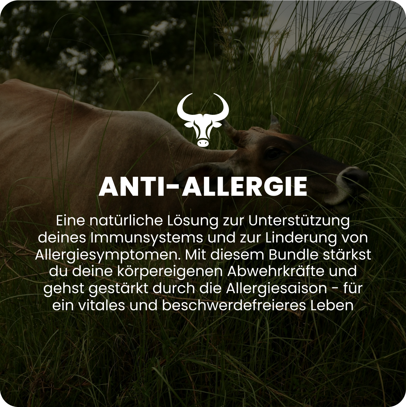anti-allergique