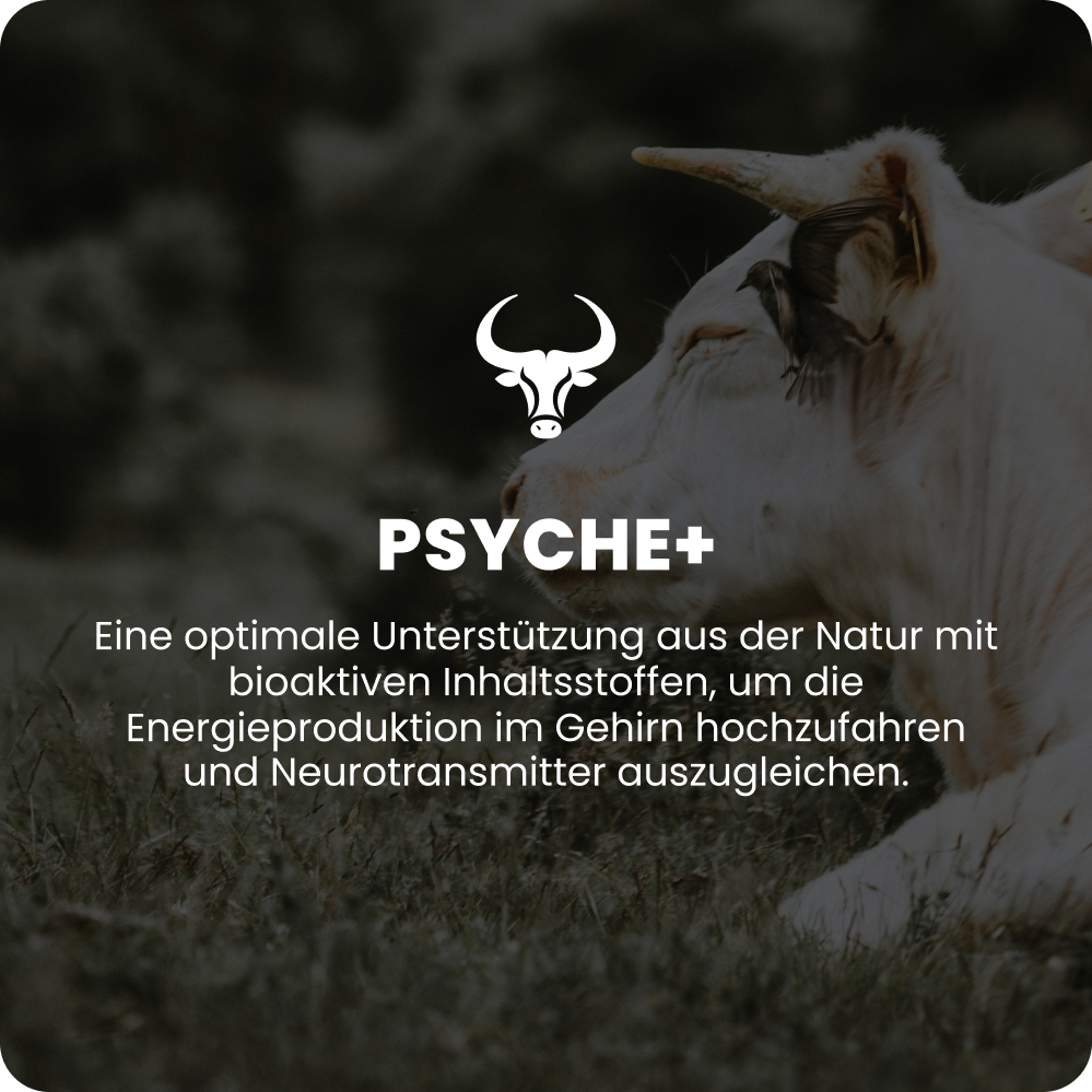 Psyché+