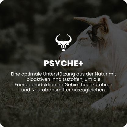 Psyché+
