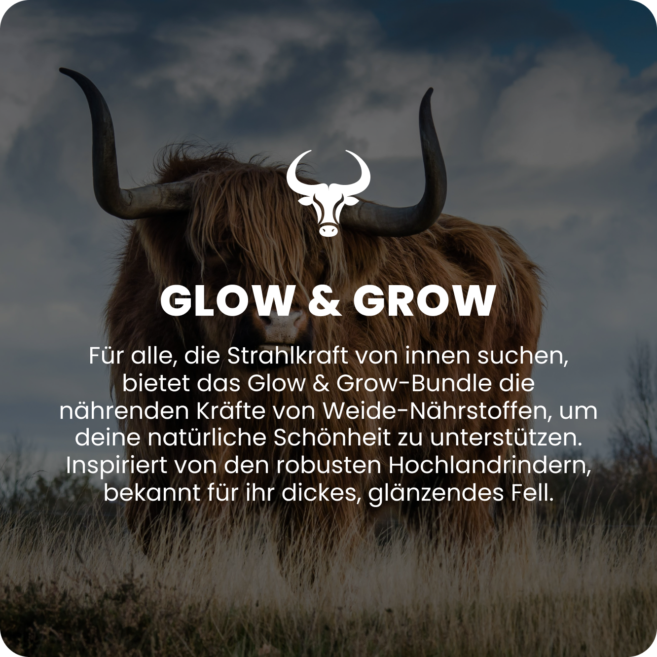 Briller et grandir