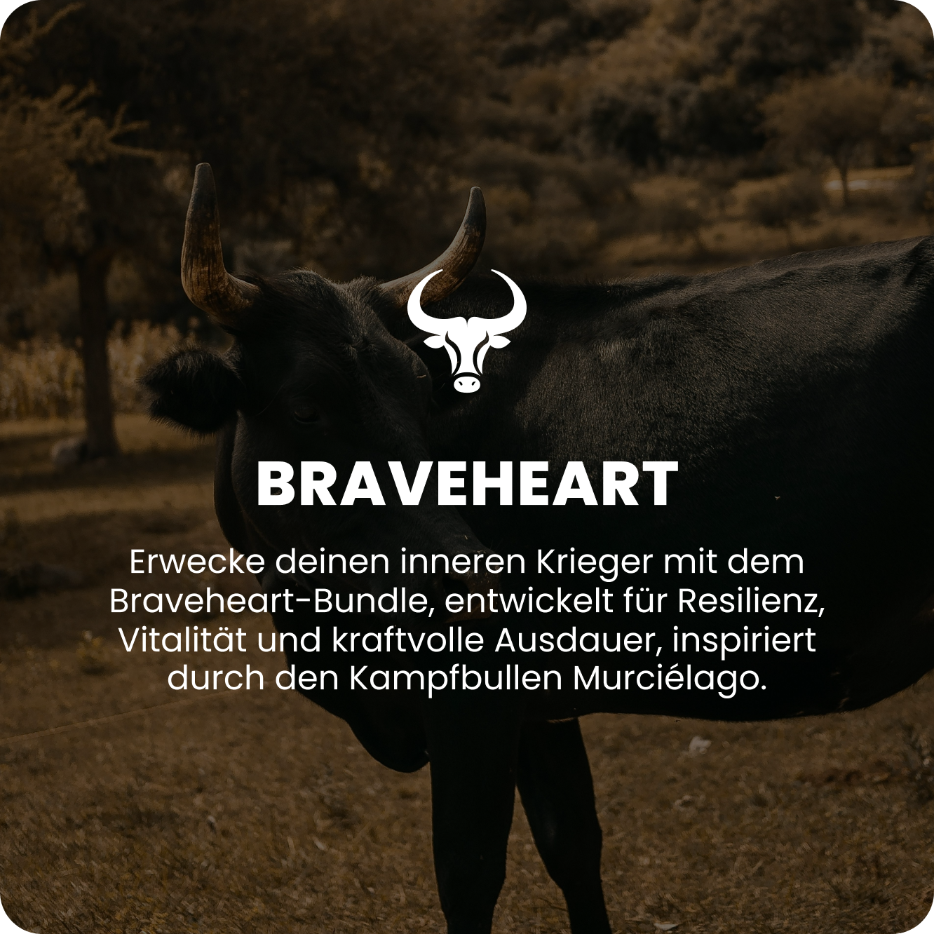 Un cœur brave