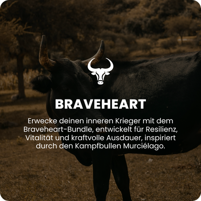 Un cœur brave