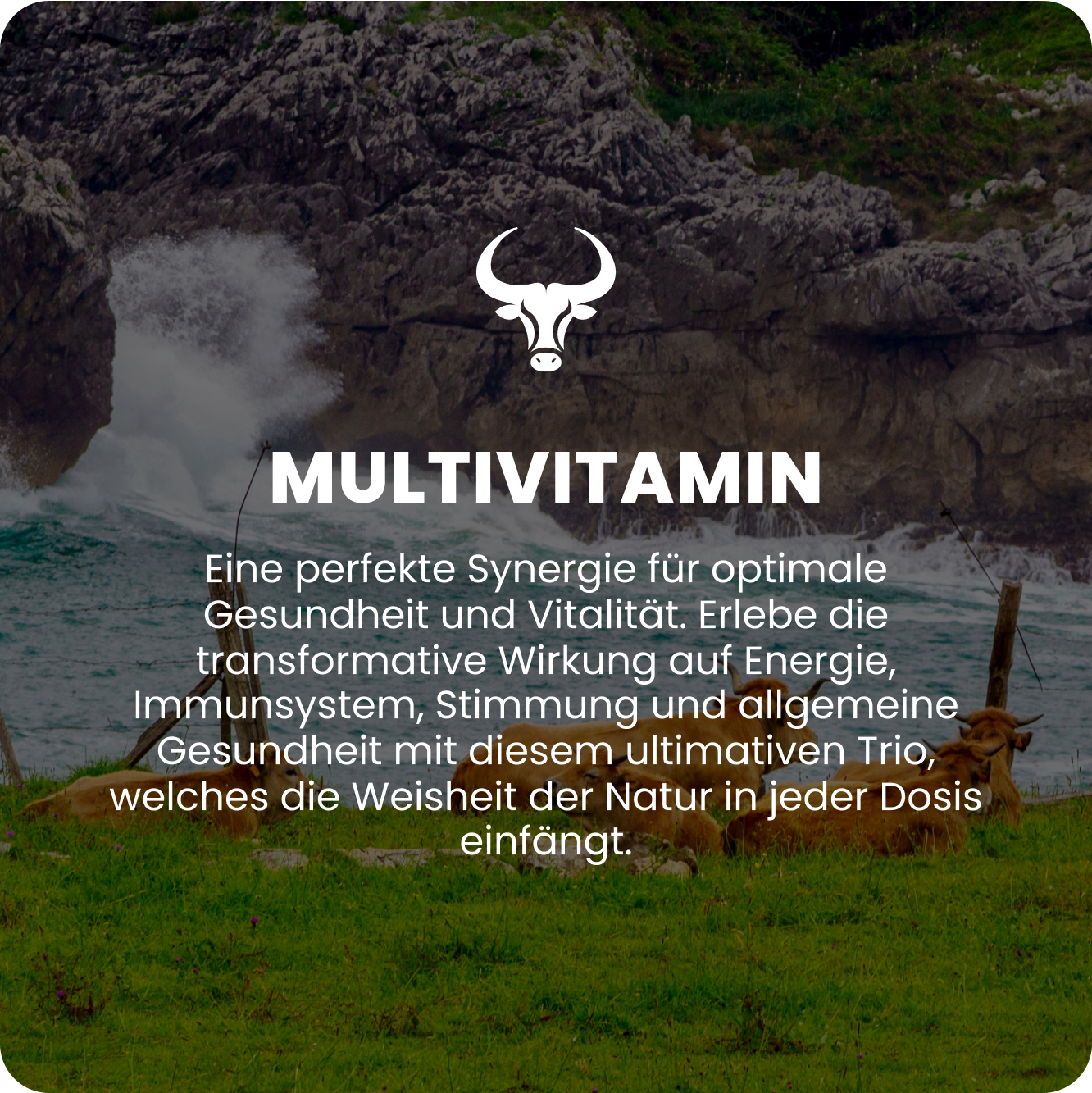multivitamin